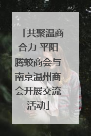 共聚温商合力 平阳腾蛟商会与南京温州商会开展交流活动