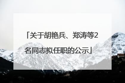 关于胡艳兵、郑涛等2名同志拟任职的公示