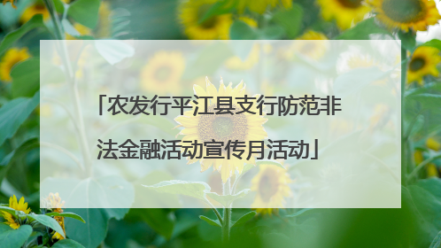 农发行平江县支行防范非法金融活动宣传月活动