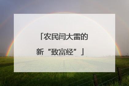 农民闫大雷的新“致富经”