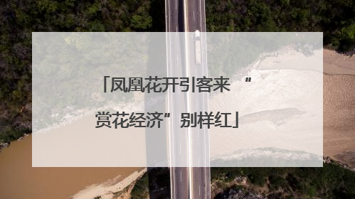 凤凰花开引客来 “赏花经济”别样红