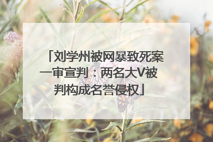 刘学州被网暴致死案一审宣判：两名大V被判构成名誉侵权