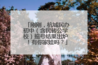 刚刚，杭城民办初中（含民转公学校）摇号结果出炉！有你家娃吗？