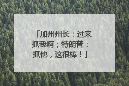 加州州长：过来抓我啊；特朗普：抓他，这很棒！