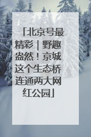 北京号最精彩｜野趣盎然！京城这个生态桥连通两大网红公园