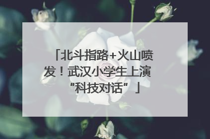 北斗指路+火山喷发！武汉小学生上演“科技对话”