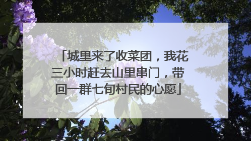 城里来了收菜团，我花三小时赶去山里串门，带回一群七旬村民的心愿