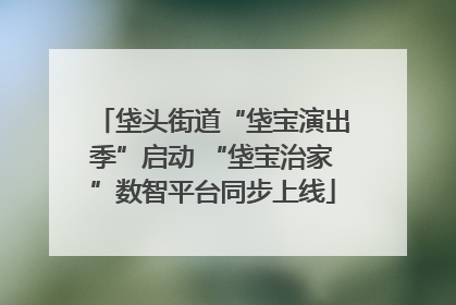 垡头街道“垡宝演出季”启动 “垡宝治家”数智平台同步上线