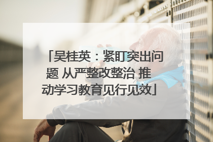 吴桂英：紧盯突出问题 从严整改整治 推动学习教育见行见效