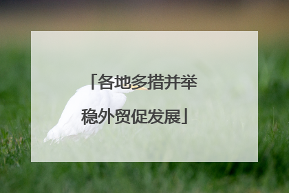 各地多措并举稳外贸促发展