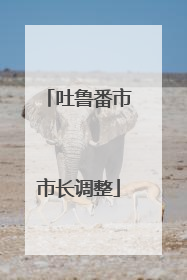 吐鲁番市市长调整