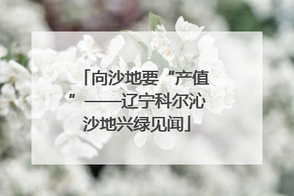 向沙地要“产值”——辽宁科尔沁沙地兴绿见闻