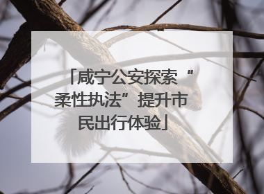 咸宁公安探索“柔性执法”提升市民出行体验