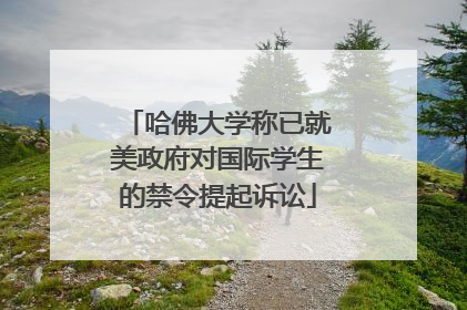 哈佛大学称已就美政府对国际学生的禁令提起诉讼