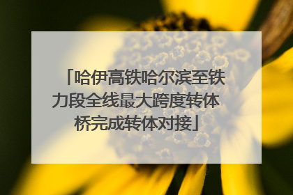 哈伊高铁哈尔滨至铁力段全线最大跨度转体桥完成转体对接