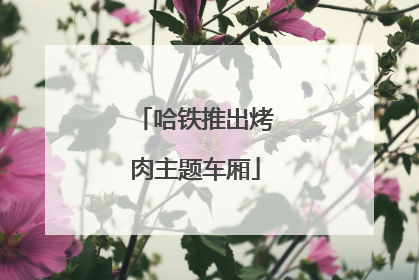 哈铁推出烤肉主题车厢