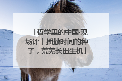 哲学里的中国·现场评丨播撒时间的种子，荒芜长出生机