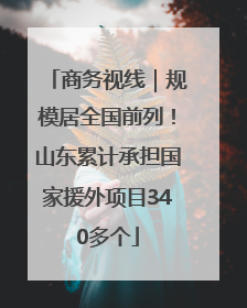 商务视线｜规模居全国前列！山东累计承担国家援外项目340多个