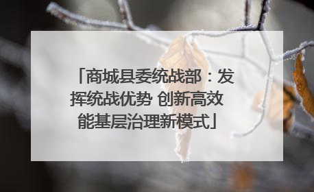 商城县委统战部：发挥统战优势 创新高效能基层治理新模式