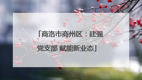 商洛市商州区：建强党支部 赋能新业态