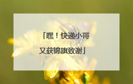 嘿！快递小哥又获锦旗致谢