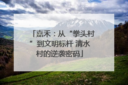 嘉禾：从“拳头村”到文明标杆 清水村的逆袭密码