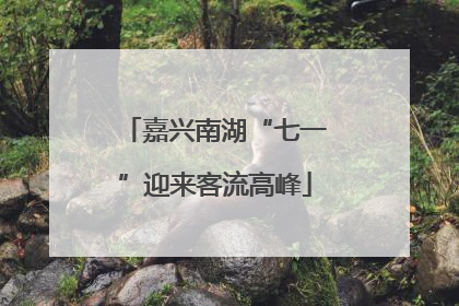 嘉兴南湖“七一”迎来客流高峰