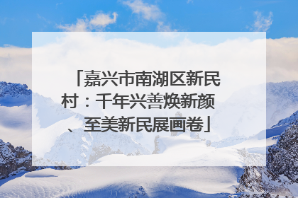 嘉兴市南湖区新民村：千年兴善焕新颜、至美新民展画卷
