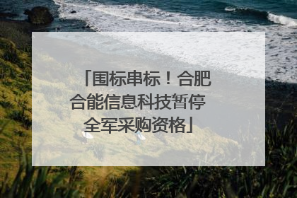 围标串标！合肥合能信息科技暂停全军采购资格
