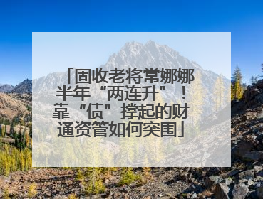 固收老将常娜娜半年“两连升”！靠“债”撑起的财通资管如何突围