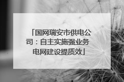国网瑞安市供电公司：自主实施强业务 电网建设提质效