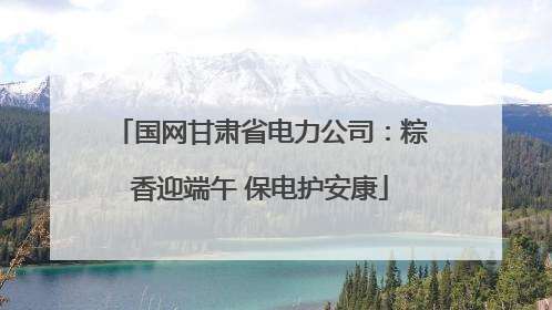 国网甘肃省电力公司：粽香迎端午 保电护安康