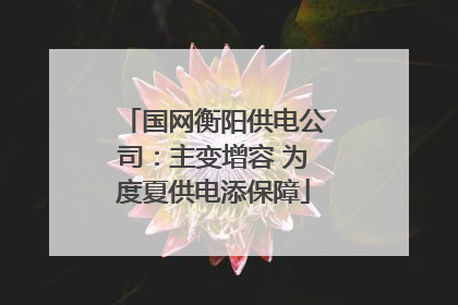 国网衡阳供电公司：主变增容 为度夏供电添保障
