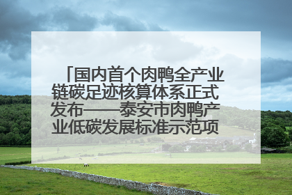 国内首个肉鸭全产业链碳足迹核算体系正式发布——泰安市肉鸭产业低碳发展标准示范项目顺利通过验收
