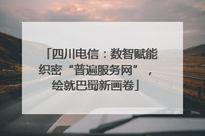 四川电信：数智赋能织密“普遍服务网”，绘就巴蜀新画卷