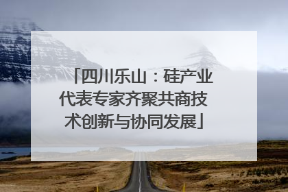 四川乐山：硅产业代表专家齐聚共商技术创新与协同发展