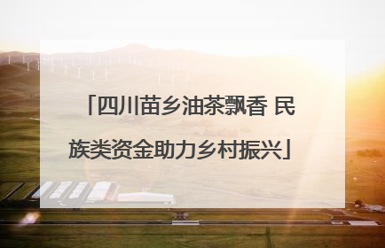 四川苗乡油茶飘香 民族类资金助力乡村振兴