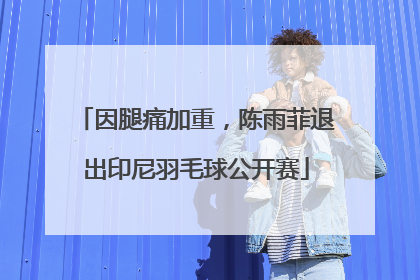 因腿痛加重，陈雨菲退出印尼羽毛球公开赛