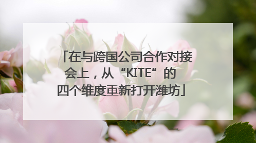 在与跨国公司合作对接会上，从“KITE”的四个维度重新打开潍坊