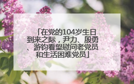 在党的104岁生日到来之际，尹力、殷勇、游钧看望慰问老党员和生活困难党员
