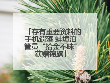存有重要资料的手机遗落 蚌埠泊管员“拾金不昧”获赠锦旗