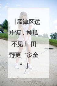 孟津区送庄镇：种瓜不见土 田野更“多金”