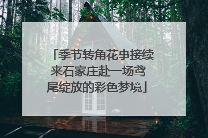 季节转角花事接续 来石家庄赴一场鸢尾绽放的彩色梦境