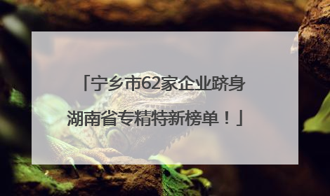 宁乡市62家企业跻身湖南省专精特新榜单！
