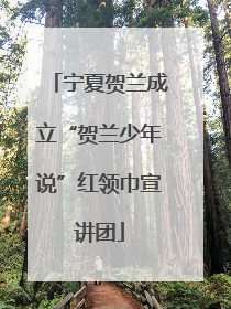 宁夏贺兰成立“贺兰少年说”红领巾宣讲团
