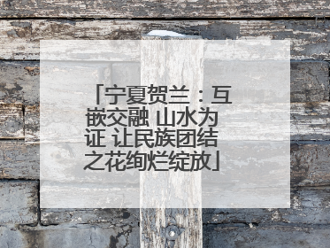宁夏贺兰：互嵌交融 山水为证 让民族团结之花绚烂绽放