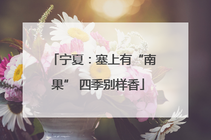 宁夏：塞上有“南果” 四季别样香