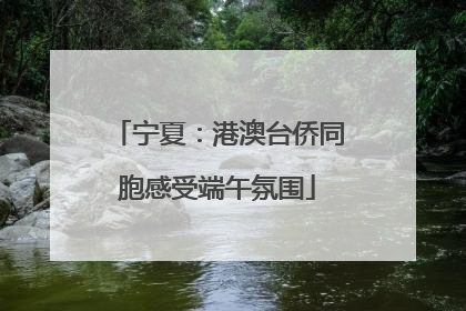 宁夏：港澳台侨同胞感受端午氛围