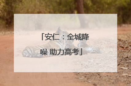 安仁：全城降噪 助力高考