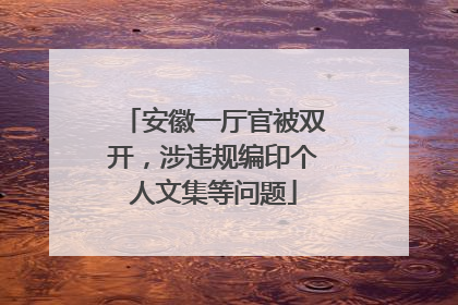 安徽一厅官被双开，涉违规编印个人文集等问题
